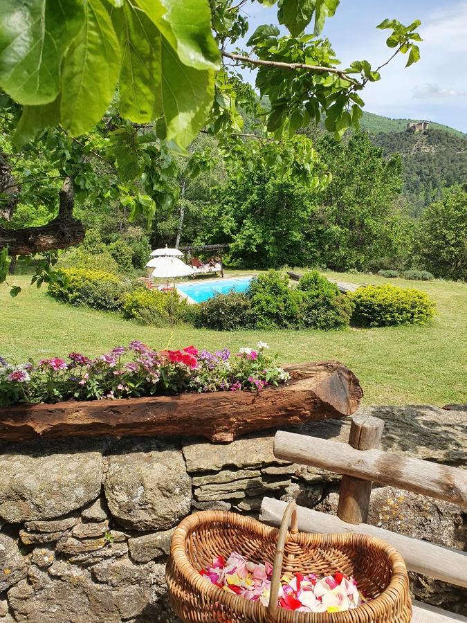 Mas Des Terrasses Villa Aujac  Dış mekan fotoğraf